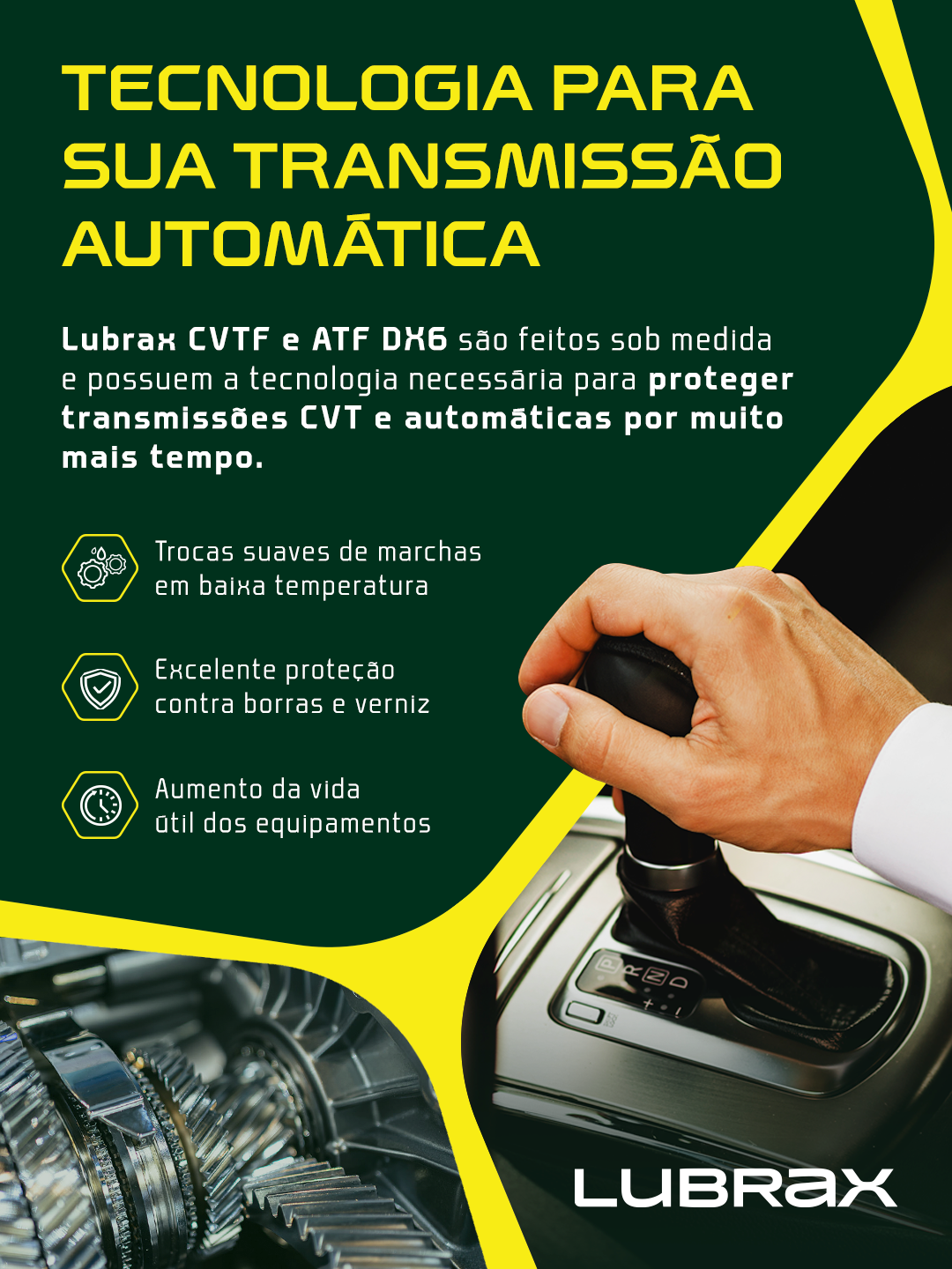 Distribuidora Sakamoto | Guarulhos / São Paulo